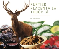Purtier Placenta Là Thuốc Gì, Công Dụng Như Thế Nào Purtier Placenta Là Thuốc Gì, Công Dụng Như Thế Nào