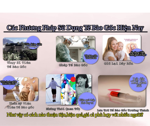 PHƯƠNG PHÁP SỬ DỤNG TẾ BÀO GỐC HIỆN NAY