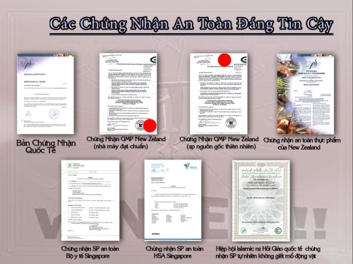 THỐNG KÊ CHỮA LÀNH TỪ TẾ BÀO GÔC