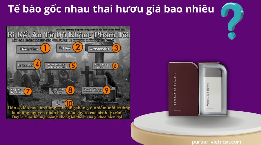 te-bao-goc-nhau-thai-huou-gia-bao-nhieu, purtier, purtier-placenta; 