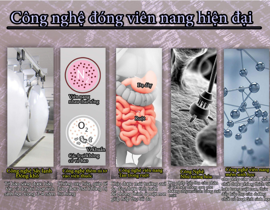 Tế Bào Gốc Nhau Thai Hươu Tươi Purtier Placenta 6th Hỗ Trợ Tế Bào Da