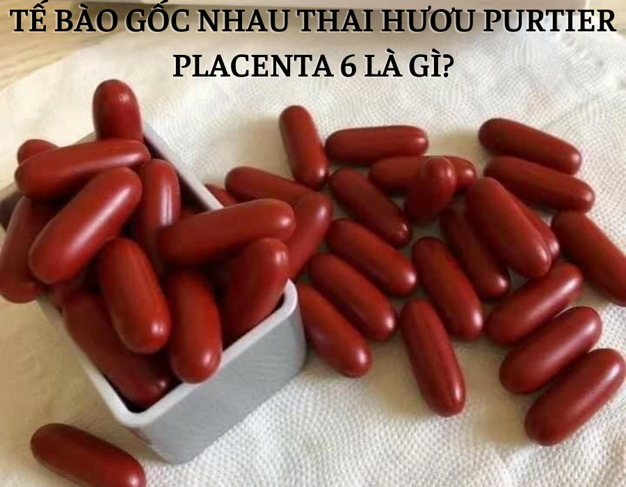 Tế Bào Gốc Nhau Thai Hươu PURTIER PLACENTA 6 Hỗ Trợ Tế Bào Bệnh Của Con Người
